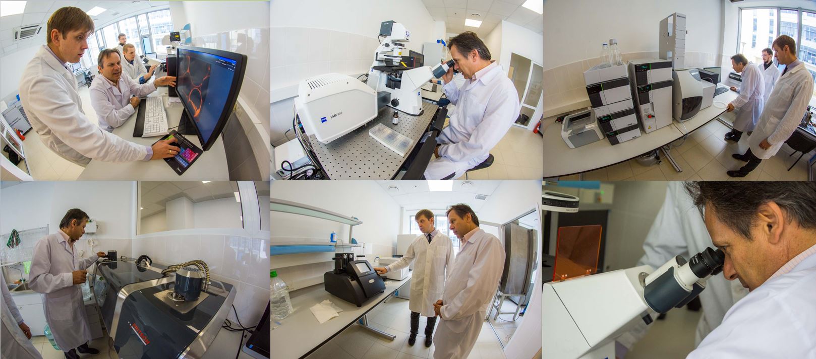 vladivostok lab colaz2