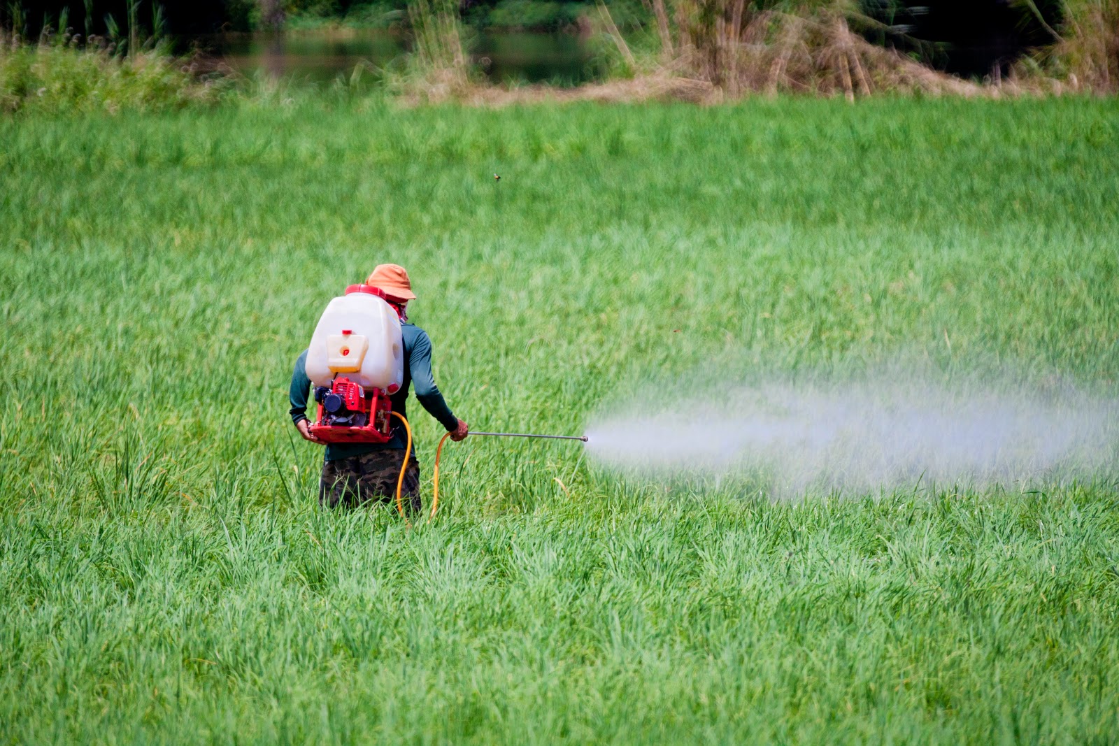 Soon Upcoming Information and Release of Statement and Works: Health Effects related to various pesticide exposures. The need for Clean and Safe Environment and Protection of Human Health and Legislative and Regulatory Issues