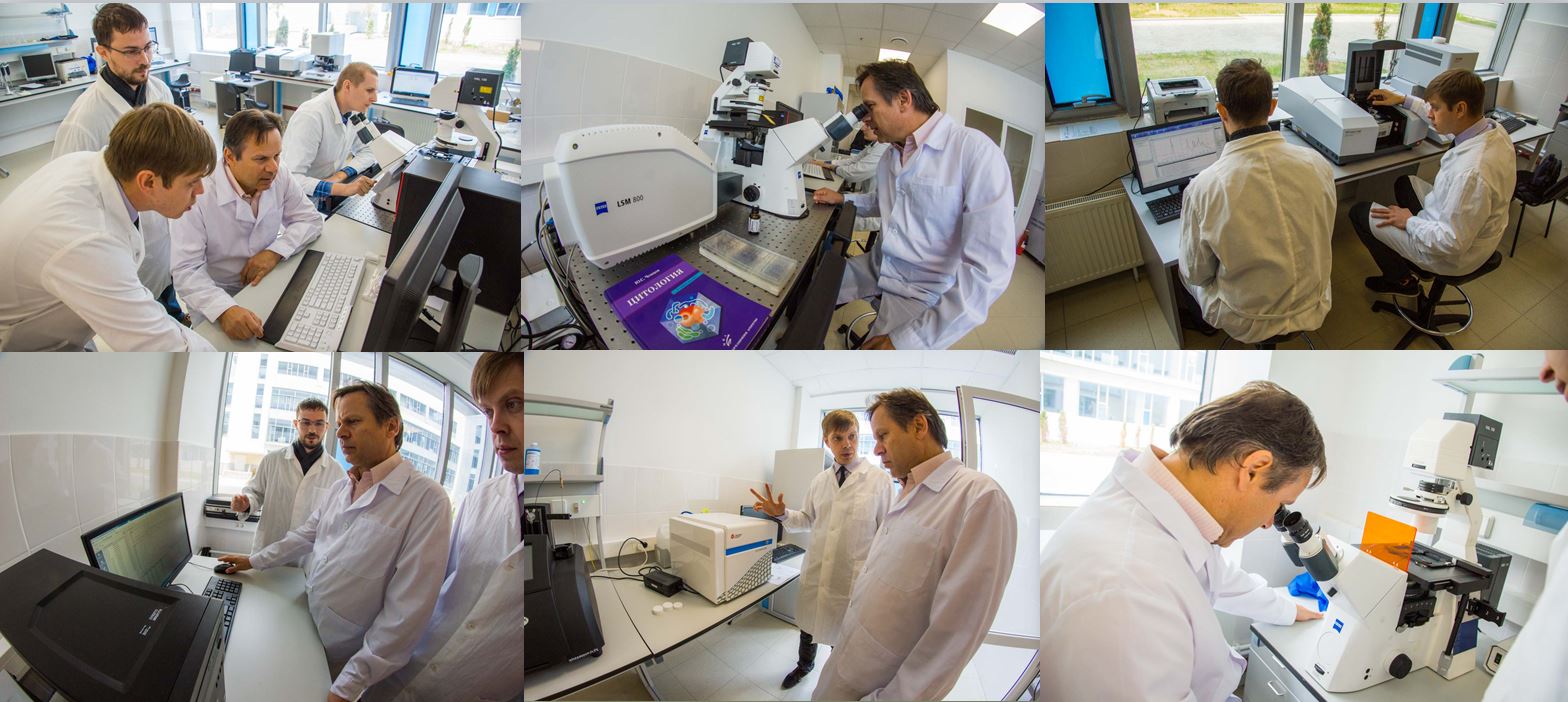 vladivostok lab colaz1